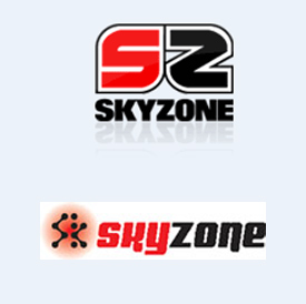 SkyZone logo