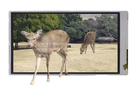 Sharp 3D Touchsreen LCD